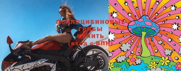 гашик Новосибирск