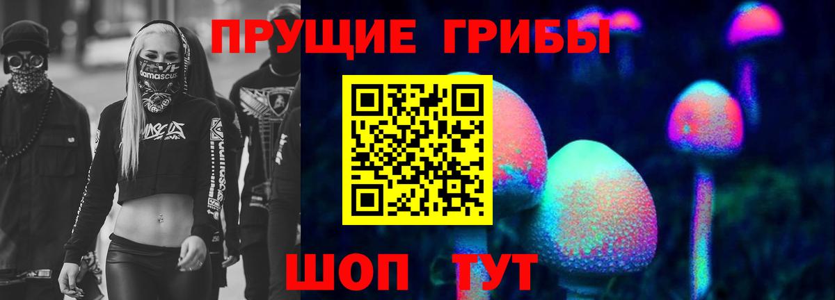 Псилоцибиновые грибы Psilocybine cubensis  Вход с VPN  Псилоцибиновые грибы мицелий  Россия 