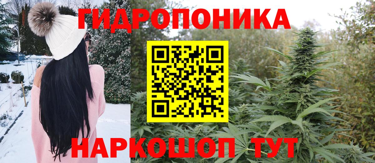 Бошки марихуана OG Kush  Шишки марихуана индика  Россия  Шишки марихуана конопля  Вход с VPN 